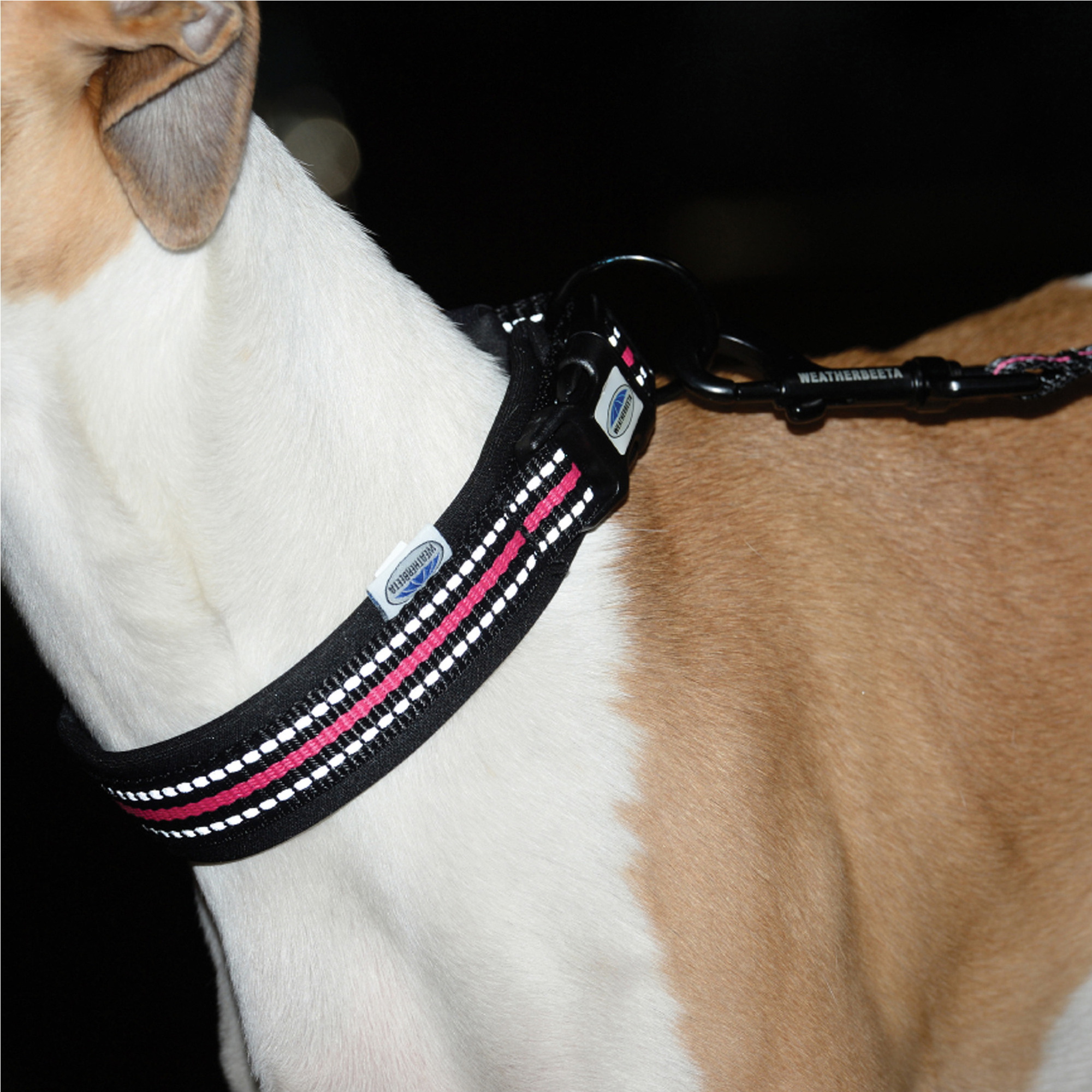 Weatherbeeta Reflective Dog Collar 1003618 - Pink